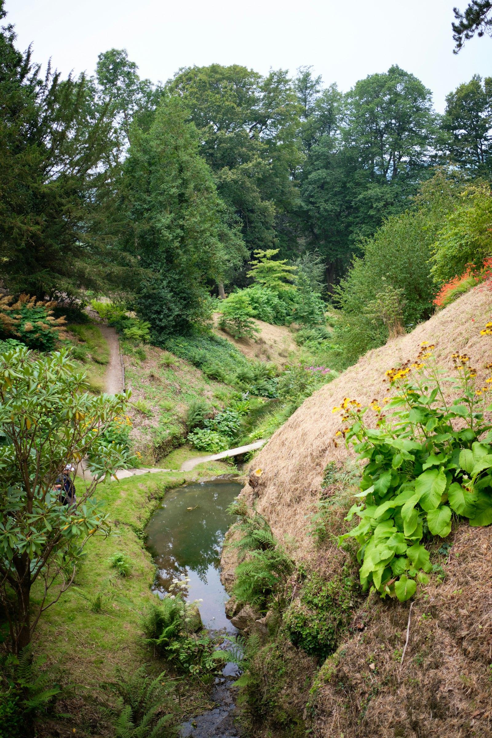 A stream running between green banks in the Peak District